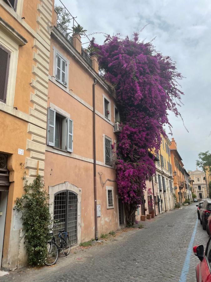 La Maison B8 Roma Esterno foto